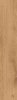 Epicentr Madera Gold 19,8x120